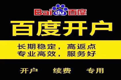 案例分析：打造高效竞价推广策略
