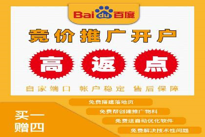 SEM托管公司案例分析：数据驱动决策